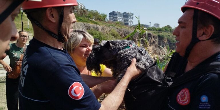 kedinin-pesinden-gitti-falezlere-uctu-minik-kopek-icin-dron-havalandi-h3I6GUtJ