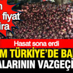 Haber gorseli