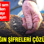 Topragin sifreleri cozuluyor baltayi vurmadan once kararinizi gozden gecirin LqrNpmbK