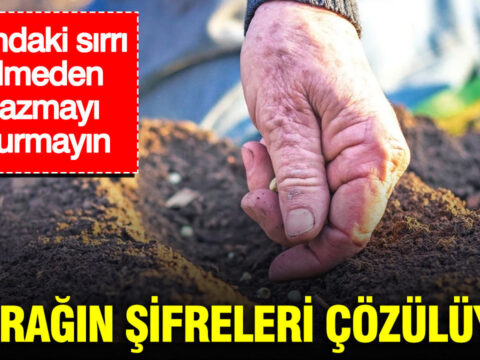 Topragin sifreleri cozuluyor baltayi vurmadan once kararinizi gozden gecirin LqrNpmbK